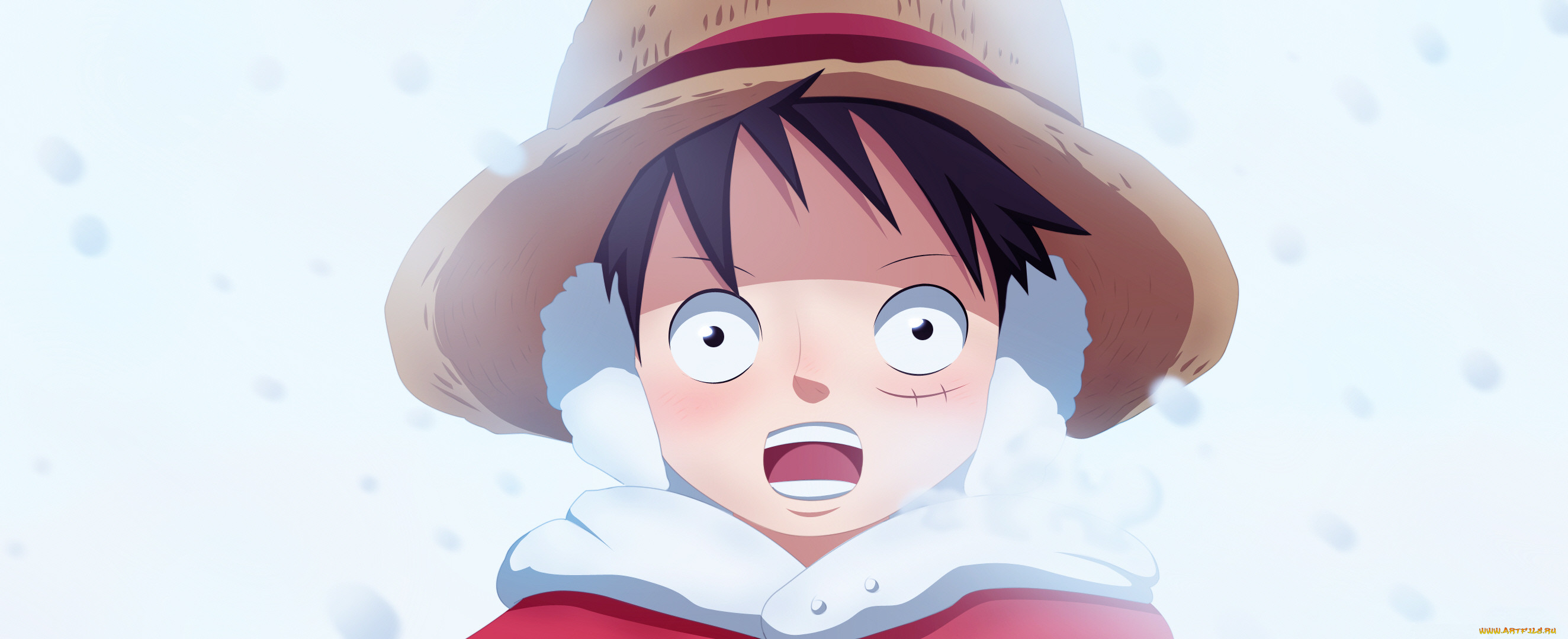 , one piece, 